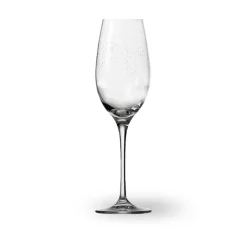 CHAMPAGNE 30CL 6PK