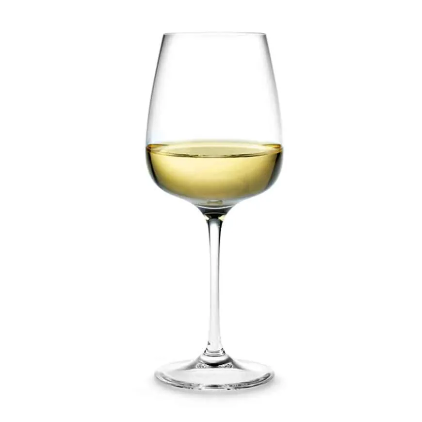 HOLMEGAARD BOUQUET 32CL HETVINSGLASS