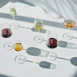 Iittala Essence Champagne 21cl 2pk