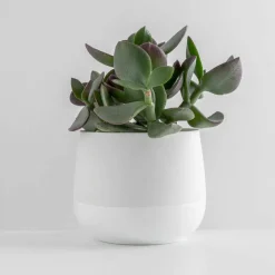 Porsgrunds Porselænsfabrik Nordic Light Lyslykt 10cm Hvit