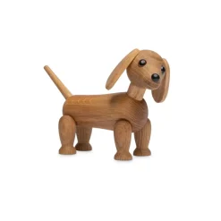 Trefigur Snap Dachshund