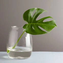 VASE 200MM KLAR